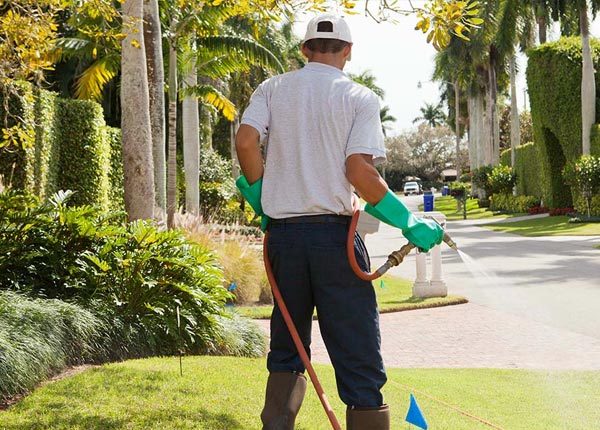 About Hume IL Pest Control